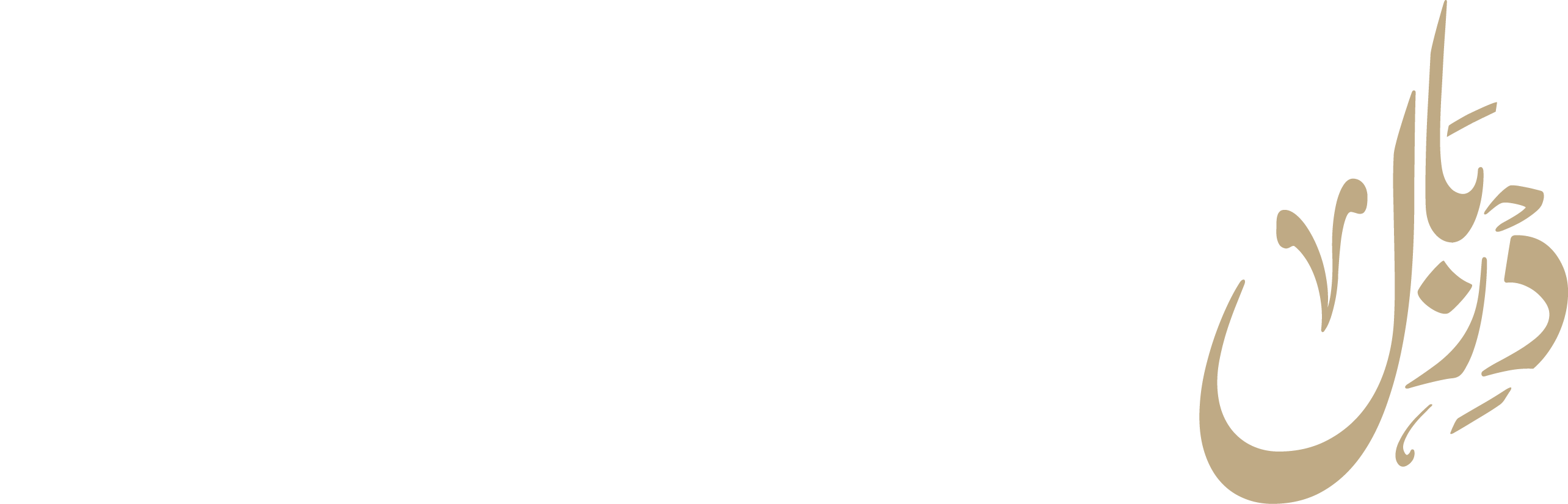 Mr Dirbal Logo